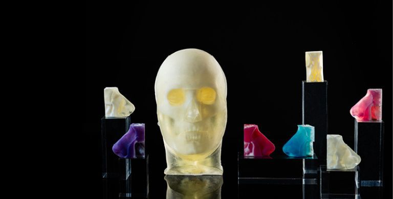 3d printed skull and noses